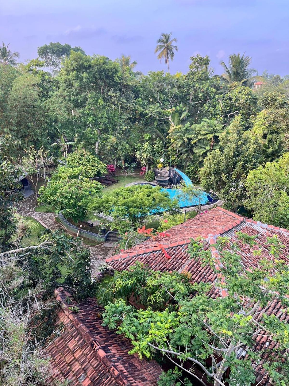 Villa 80 Bentota Esterno foto